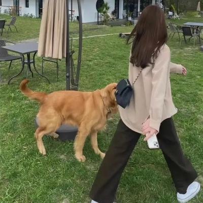 拉号探险记